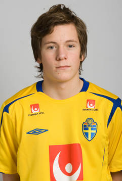 Ludvig Sundström, Sverige