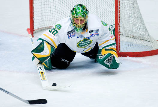 Thomas Sehlstedt, Målvakt Björklöven