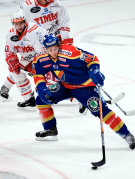 Dragan Umicevic, Djurgården