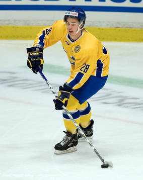 Niklas Hjalmarsson