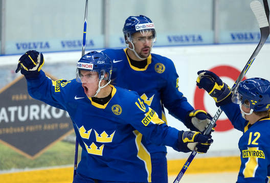 Martin Johansson, Sverige
