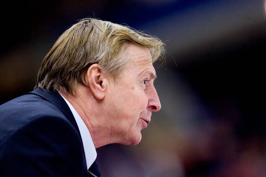 Vladimir Bednar, Förbundskapten Tjeckien