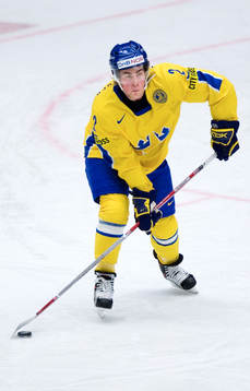 Patrik Navalainen, Sverige