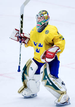 Joel Gistedt, Målvakt Sverige