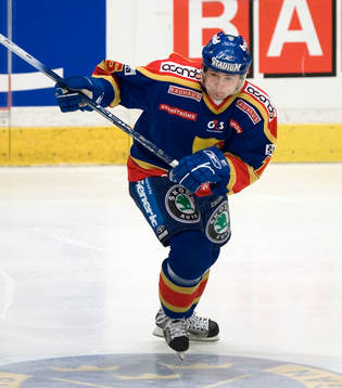 Jiri Marusak, Djurgården