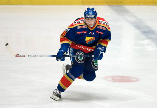 Jiri Marusak, Djurgården