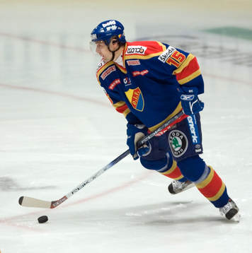 Jiri Marusak, Djurgården
