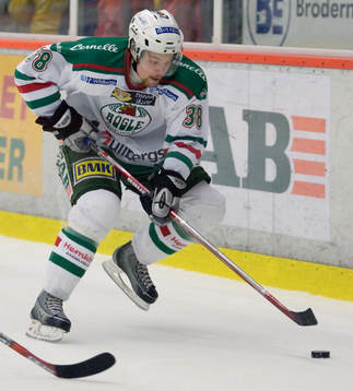 Tomas Wallgren, Rögle