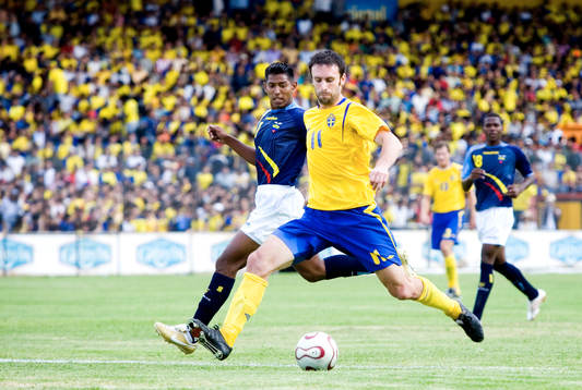 Rade Prica, Sverige drar på ett skott