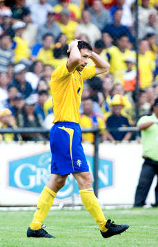 Rade Prica