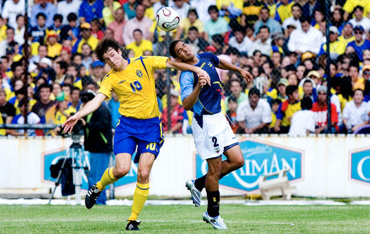 Olof Guterstam, Sverige och Renan Calle, Ecuador