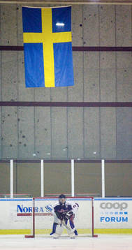 Målvakt, svensk flagga