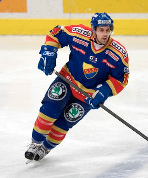 Christian Sjögren, Djurgården