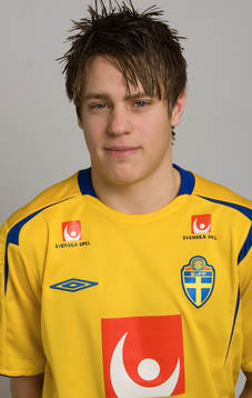 Mikael Karlsson, Sverige