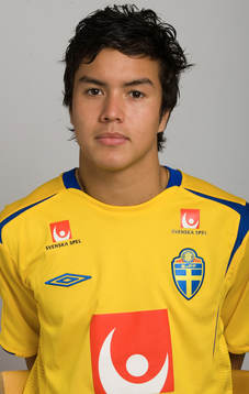 Ian Ekstrand, Sverige