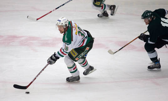 Tomas Wallgren, Rögle