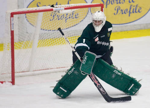 Henrik Karlsson, målvakt, Hammarby