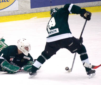 Ishockey, allsvenskan, Rögle - Hammarby