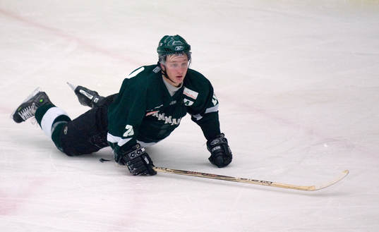Tomas Lindgren, Hammarby