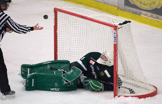Henrik Karlsson, målvakt, Hammarby