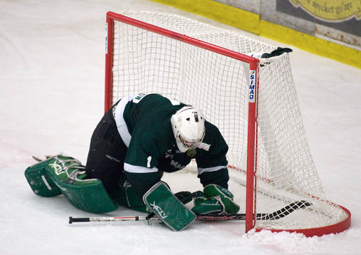 Henrik Karlsson, målvakt, Hammarby