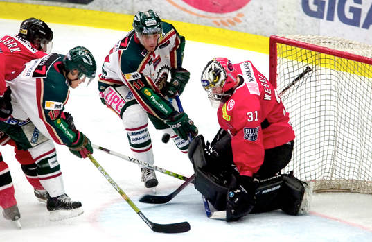 Steven Kariya och Magnus Kahnberg, Frölunda, framför