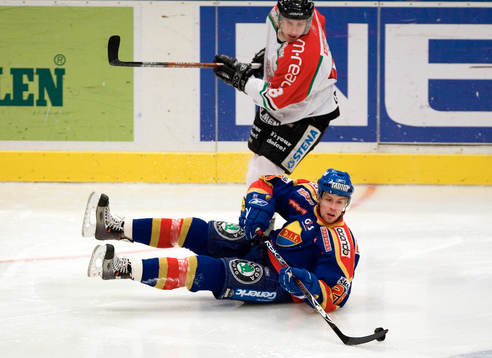 Peter Öberg, Modo och Morten Ask, Djurgården
