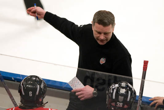 Harald Lückner, tränare, Modo