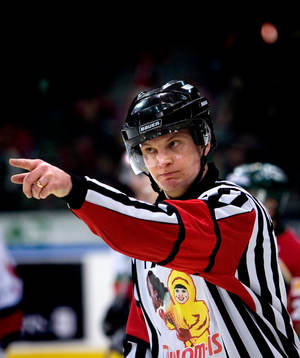 Marcus Vinnerborg, Domare