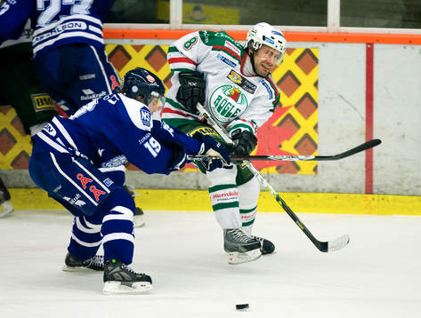 Magnus Hedlund, Leksand och Patrik Tano, Rögle