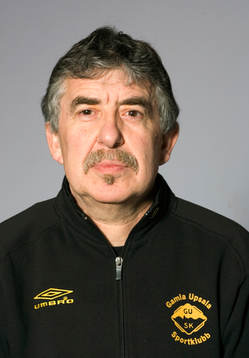 Sinisa Damjanovic, lagledare