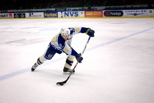 David Petrasek, HV71