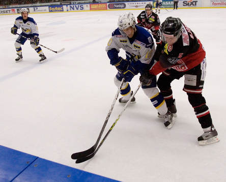 Martin Thörnberg, HV71