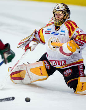 Daniel Sperrle, Målvakt, Brynäs