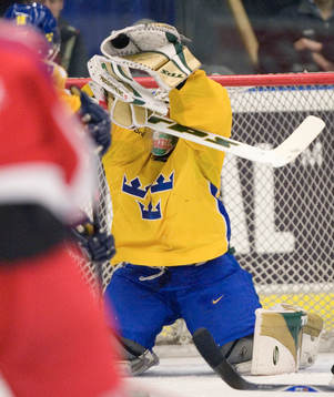 Joel Gistedt, målvakt, Sverige