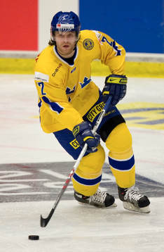 David Petrasek, Sverige