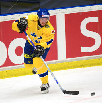 Jan Sandström, Sverige