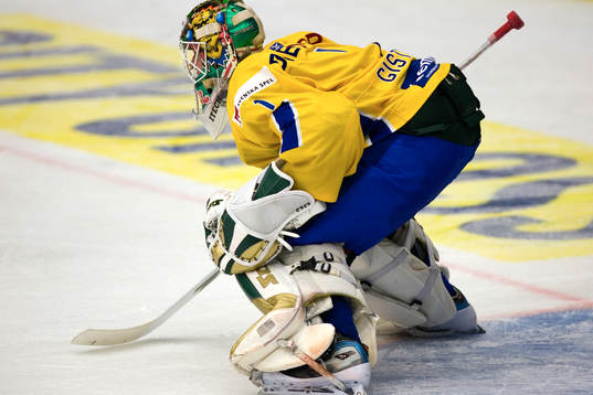 Joel Gistedt, målvakt, Sverige