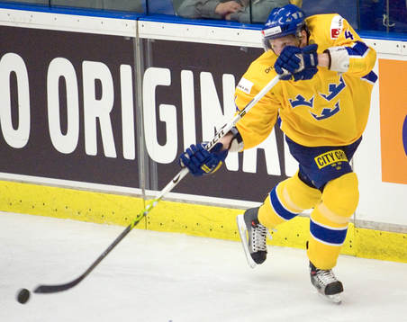 Johan Åkerman, Sverige
