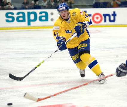 Johan Åkerman, Sverige