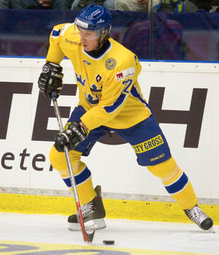 Jörgen Jönsson, Sverige