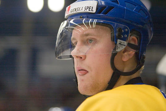 Patric Hörnqvist, Sverige