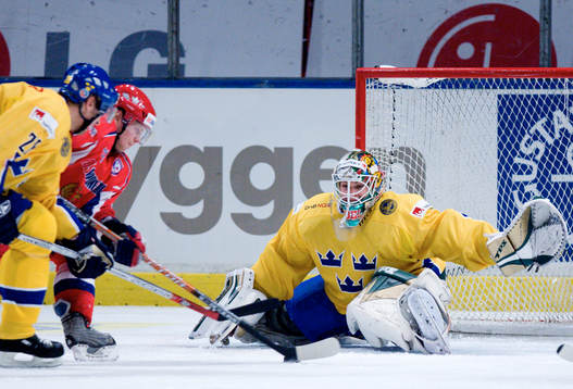 Joel Gistedt, Målvakt Sverige