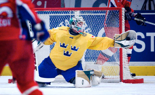 Joel Gistedt, Målvakt
