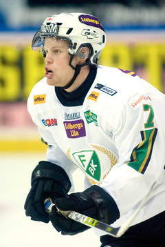 Stefan Erkgärds, Färjestad
