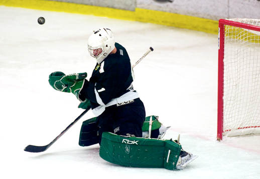 Henrik Karlsson, målvakt, Hammarby