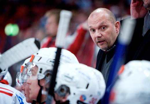 Kent Johansson, Tränare Timrå