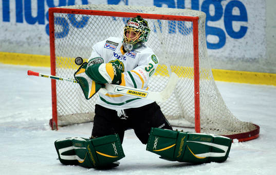 Thomas Sehlstedt, Målvakt Björklöven