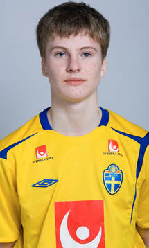 Johan Högström, Sverige
