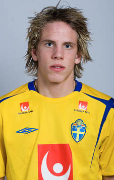 Andreas Hadenius, Sverige